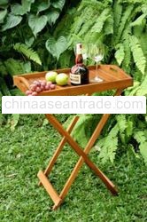 Folding Standing Tray