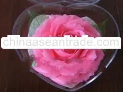 Scented flower