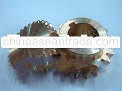 Worm Gear