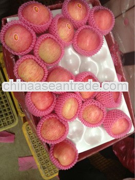 red fesh fuji apple from china have super quality