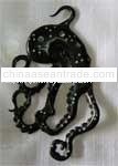 Bone Earring