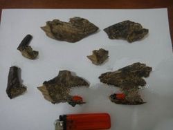 Tomoboo Agarwood