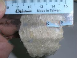 AAAA white nest