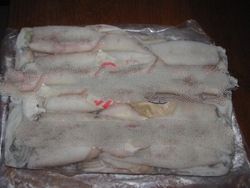 Frozen Sea Water Squid