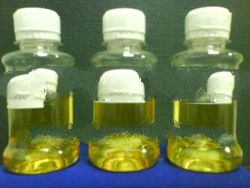 palm oil
