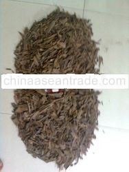 Tomoboo Agarwood