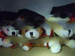 Mini Teddy Bear - Convo
