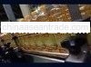 CRUDE AND REFRINED PALM OIL