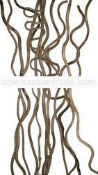 Collamus natural