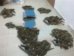 Tomoboo Agarwood