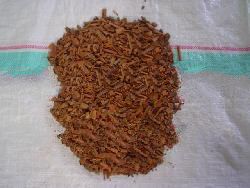 Cassia Broken Kbbc