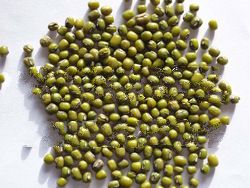 Green mung whole