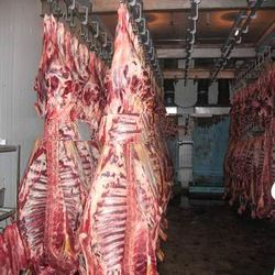 Frozen Meat