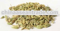 Fennel Seed