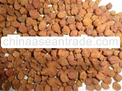 CHANA MOSAMBI