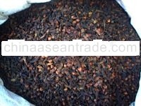 CLOVES
