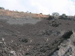 Coal