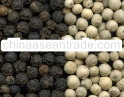 Black Pepper Lasta And FAQ Qualities