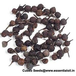 Indoensian cubeb
