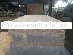 Albasia Falcata Bare Core