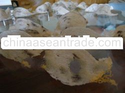 Raw Birdnest
