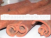 Cinnamon