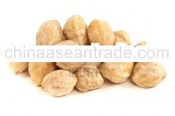 Candlenut