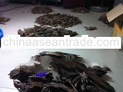Tomoboo Agarwood