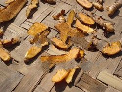 turmeric