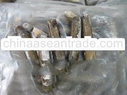 Bamboo Shell