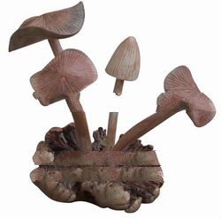 Carved Mashroom