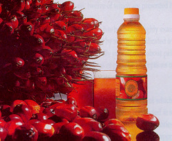 RBD Palm Olein / Cooking Oil