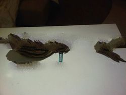 Tomoboo Agarwood